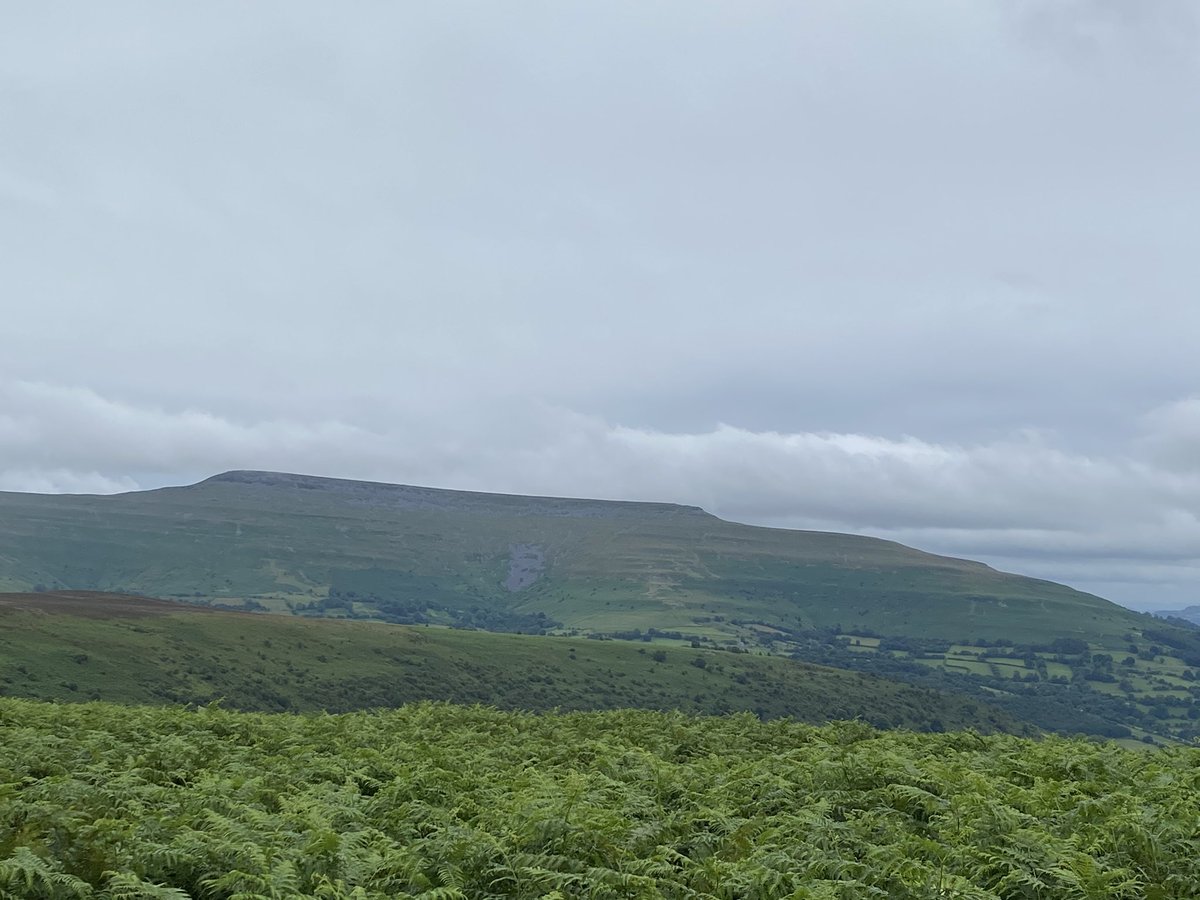 katevic36's tweet photo. Epic biking adventure over Mynydd Llangorse, fantastic views of black mountains and Beacons #walesneverfails https://t.co/qORmgt4G9W