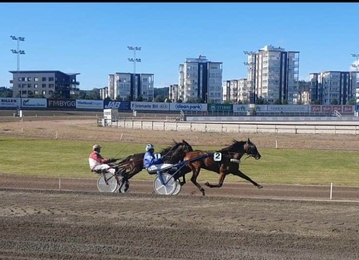 writerbengt's tweet photo. Lycklighetsplan:
Gå travskola 4ggr. Köp en 2-årig travhäst, helst en som vägrar att skos. Ta hjälp av proffstränare några månader. Kämpa dig igenom en j-ligt jobbig vinter, sen en ännu jobbigare vår. Se hästen klara kvalet.
Det är fanimej lycka ❤
#easywind #2 #trav #lifestyle https://t.co/ZHDUVCM6bW