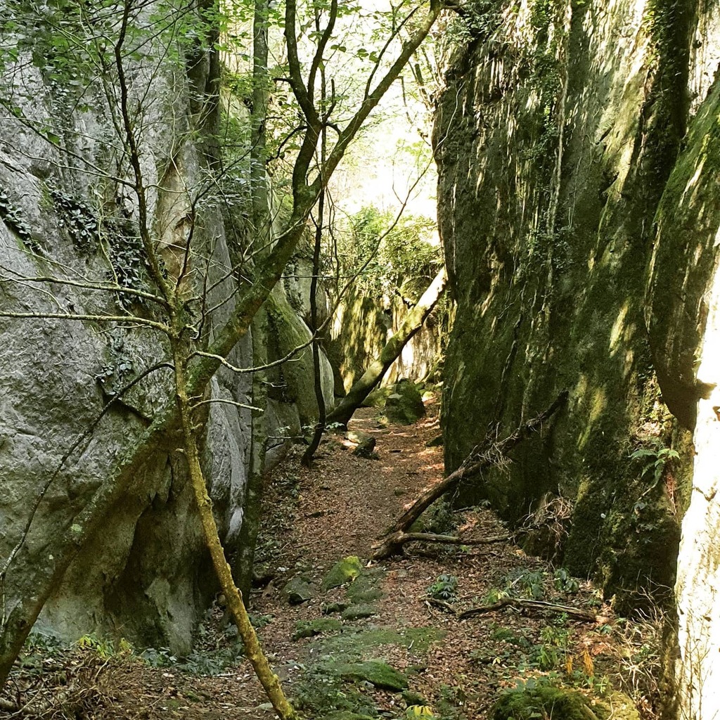 GeolegCAT's tweet photo. Avui hem anat a discutir sobre com es van formar els #Bufadors de Beví amb @geoneu_risk. Us informem que no hem arribat a cap acord. Així és la #geologia! #Interpretació #discussió #ciència https://t.co/YoSl6xUfeq