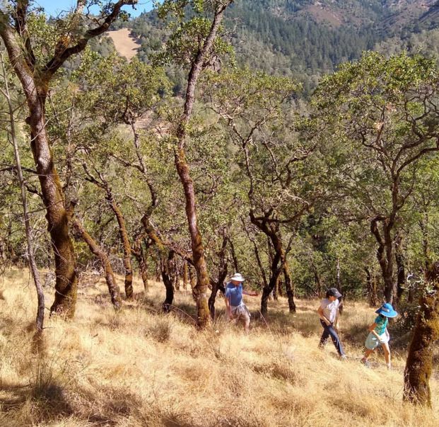Calistoga Ranch tweet media