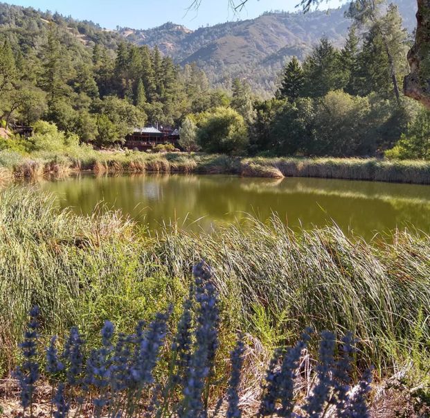 Calistoga Ranch tweet media