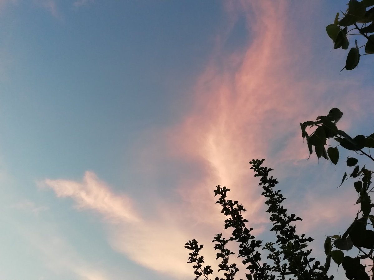 agt_02's tweet photo. All about today's weather ❤️
#LoveWithoutLimit #nature #NaturePhotography #NATURE_WORLD #naturelovers #StaySafeStayHealthy https://t.co/wOnCTHriEA