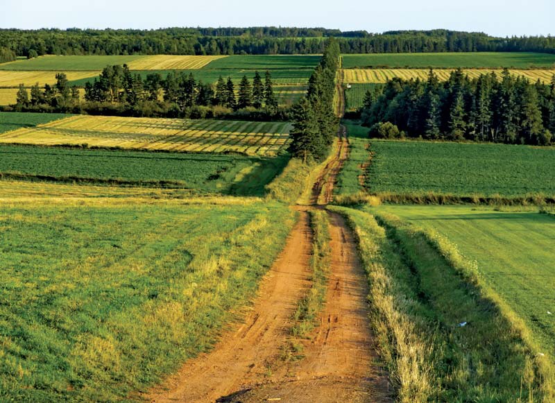 cup_ofstars's tweet photo. Who wants to go on vacation to Prince Edward Island? 🌿

ANNE ONE MILLION https://t.co/9SpvPGW3gX