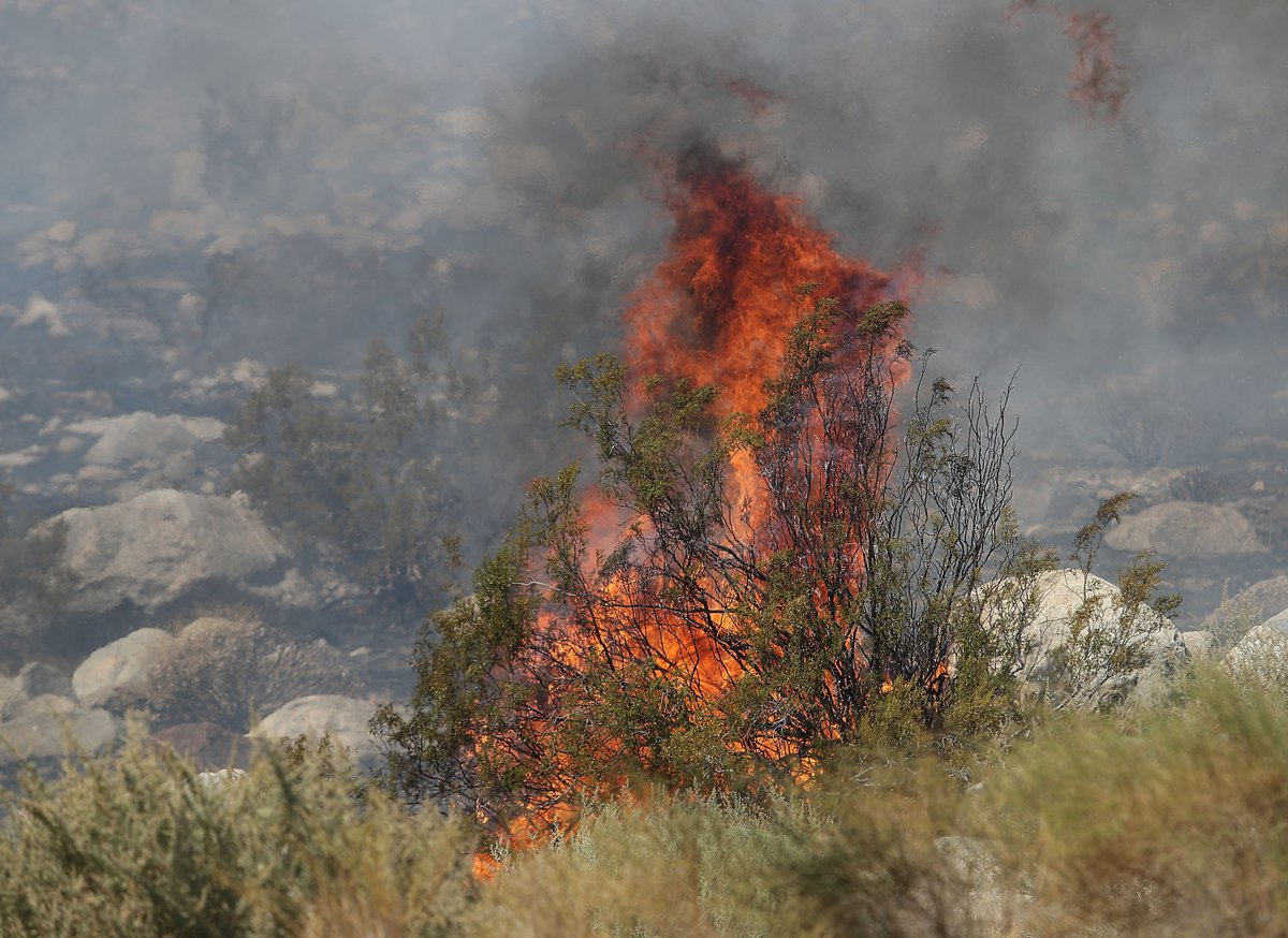 jaymcalderon's tweet photo. We have wildfire burning in north Palm Springs this morning. It's like the third or fourth one in that area in last six months or so.
https://t.co/NtbQYPFzeI https://t.co/5twBVywCRH