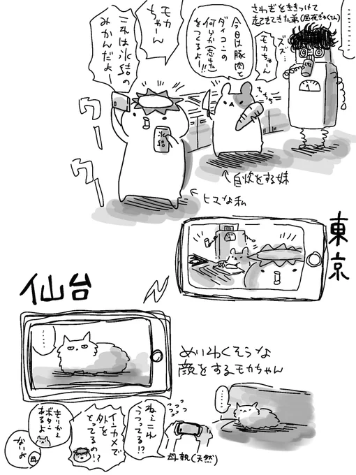 これは猫との一方的なリモート飲み会 