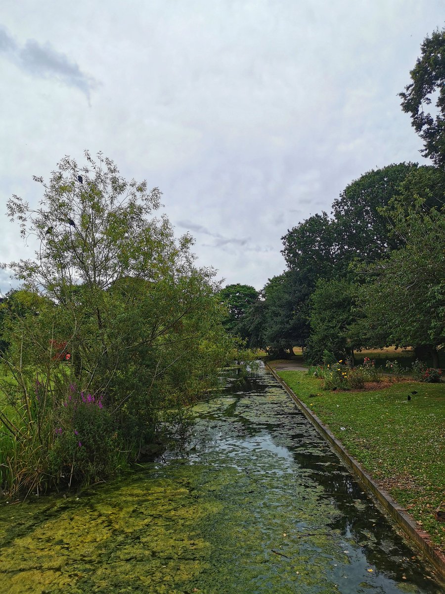 The park was busy this afternoon with both cricketers and plenty of geese!

Share your pictures below of our wonderful park from your visits since our last event