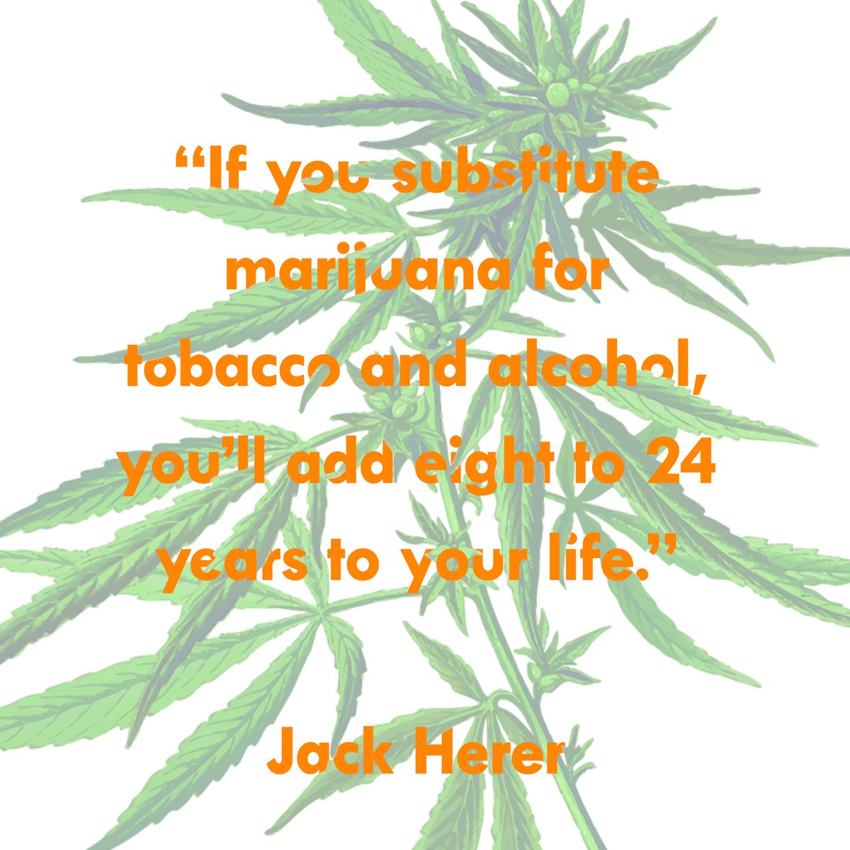 kanamedofficial's tweet photo. We agree with Jack! Marijuana over tobacco and alcohol any day.
🌿💨🌿>🌿🥃🌿
#JackHerer #weedquote #cannabisquote #marijuanaquote #cannabissociety #cannabisculture #weedsociety https://t.co/B1Hc8W8cQB
