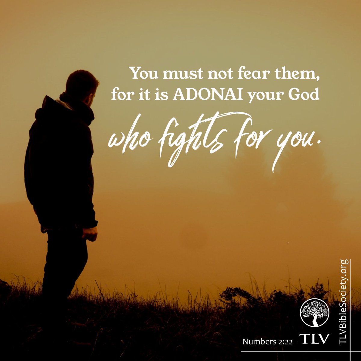 TLVBible's tweet photo. “You must not fear them, for it is ADONAI your God who fights for you.”
Numbers 3:22 TLV

#tlvbible #verseoftheday📖 #scriptureverseoftheday  #biblereading #treeoflifeversion https://t.co/ZqFJ09RpIC