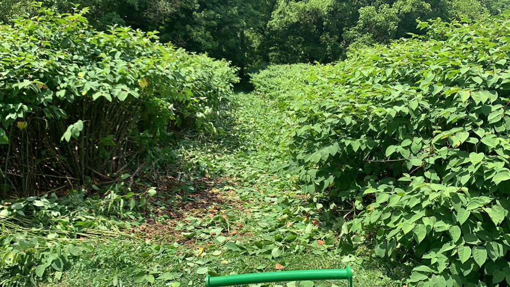 CampElizabethWV's tweet photo. The corner is open https://t.co/WsOx6rKGql