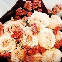 S73441642's tweet photo. #صورة_جديدة_للملف_الشخصي https://t.co/cjAcPNARAK