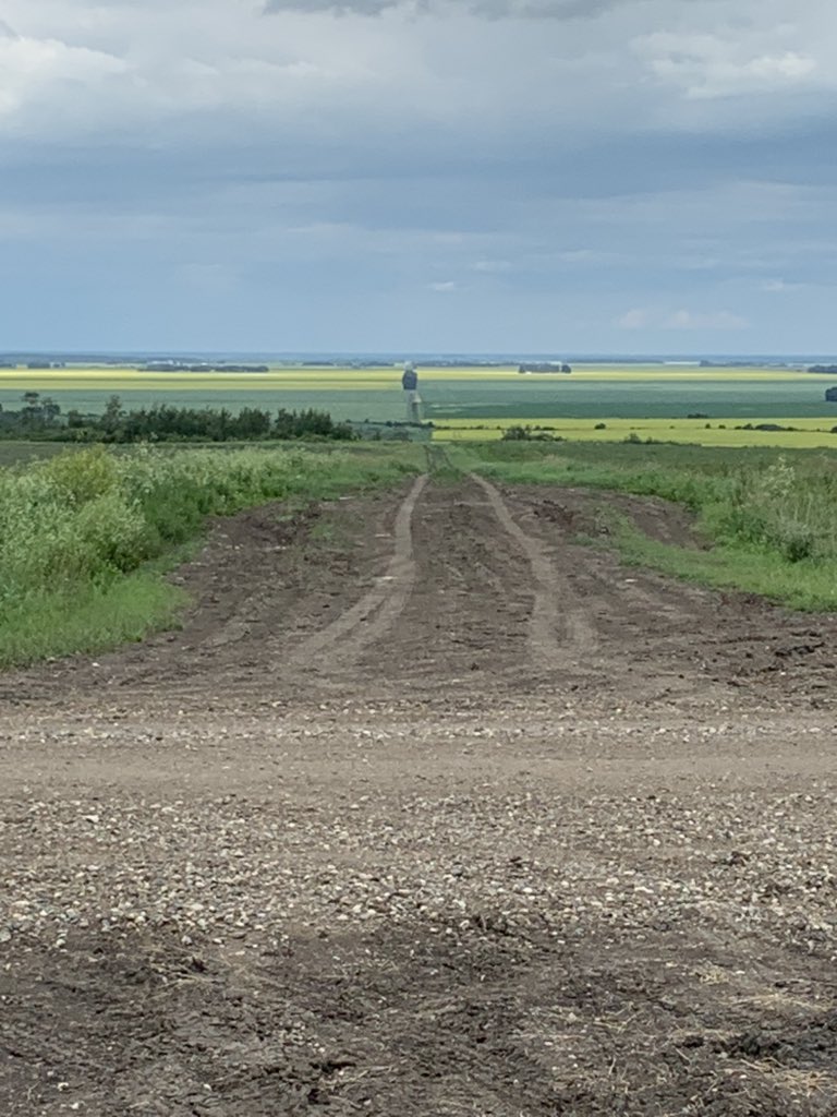 scottieschicken's tweet photo. Rain, rain stay away!!! These roads need to stay dry for one more pedigreed field inspection today. #playingcatchup #bestjobinworld #cantbeatthesmell #grateful #notquitefarmlife 🐓💚 https://t.co/MsPxQ4cxeA