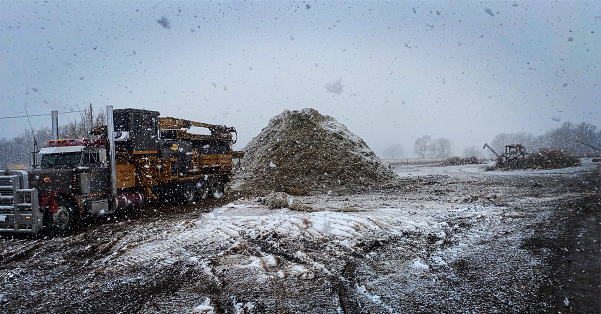 Every summer makes me enjoy winter weather more and more!