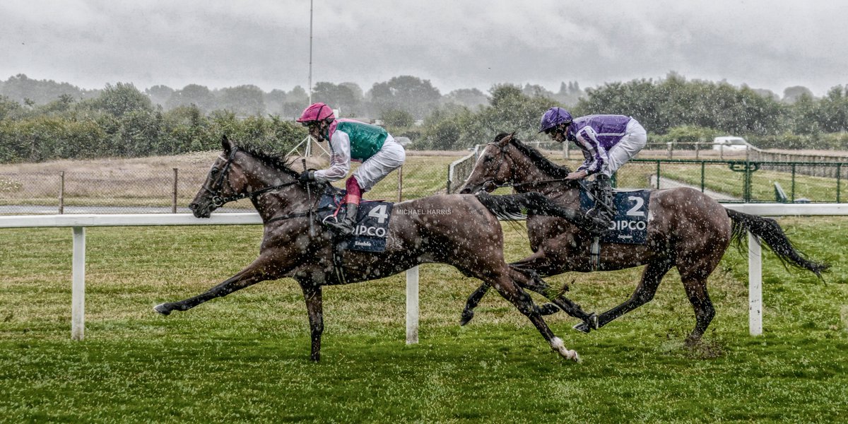 mjyharris's tweet image. Absolute downpour just after the race started today but managed to get this through the hedgerows of Enable and Japan approaching Swinley Bottom.