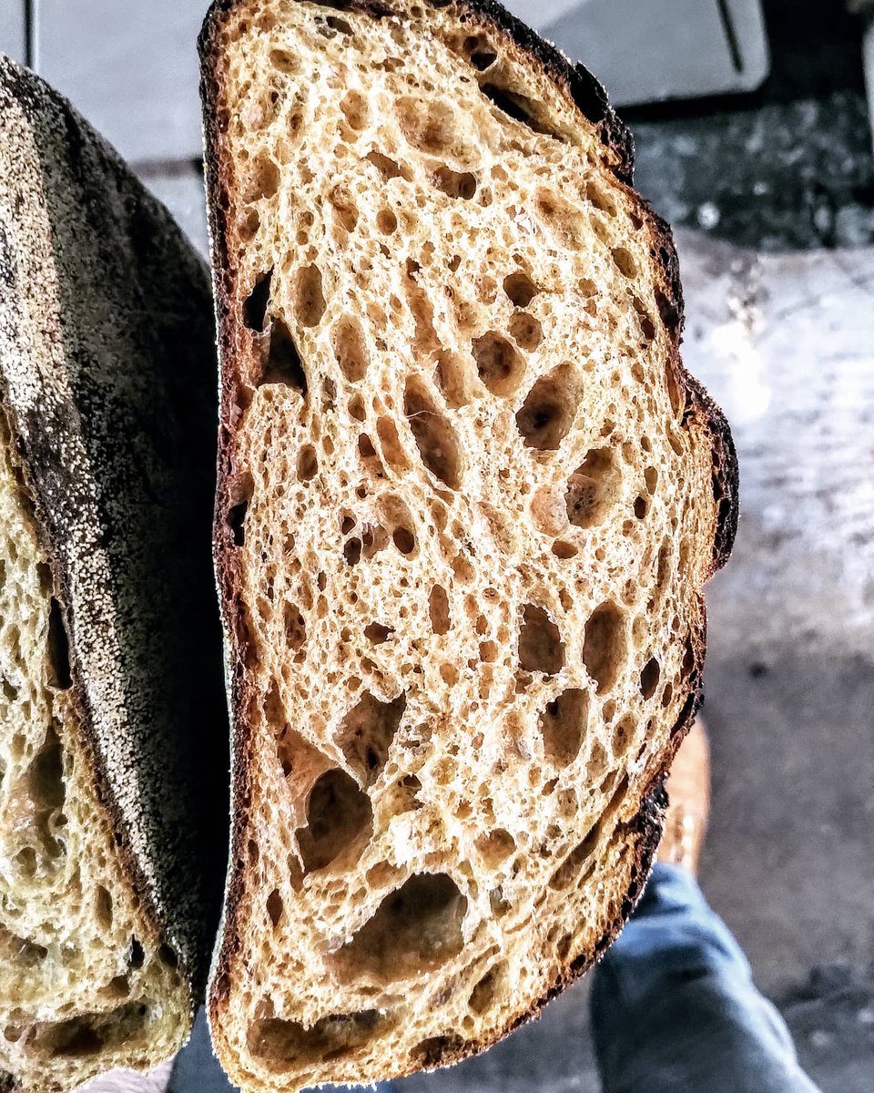 fornocultura's tweet photo. Our Dark Maple Rye Sourdough Mosto|Maple Syrup|Dates #uvetta #sourdough #lievitomadre #fornocultura #teambread #nightbake unadulterated small batch #artisan 

Available #weekends only https://t.co/REaQTPX1wb