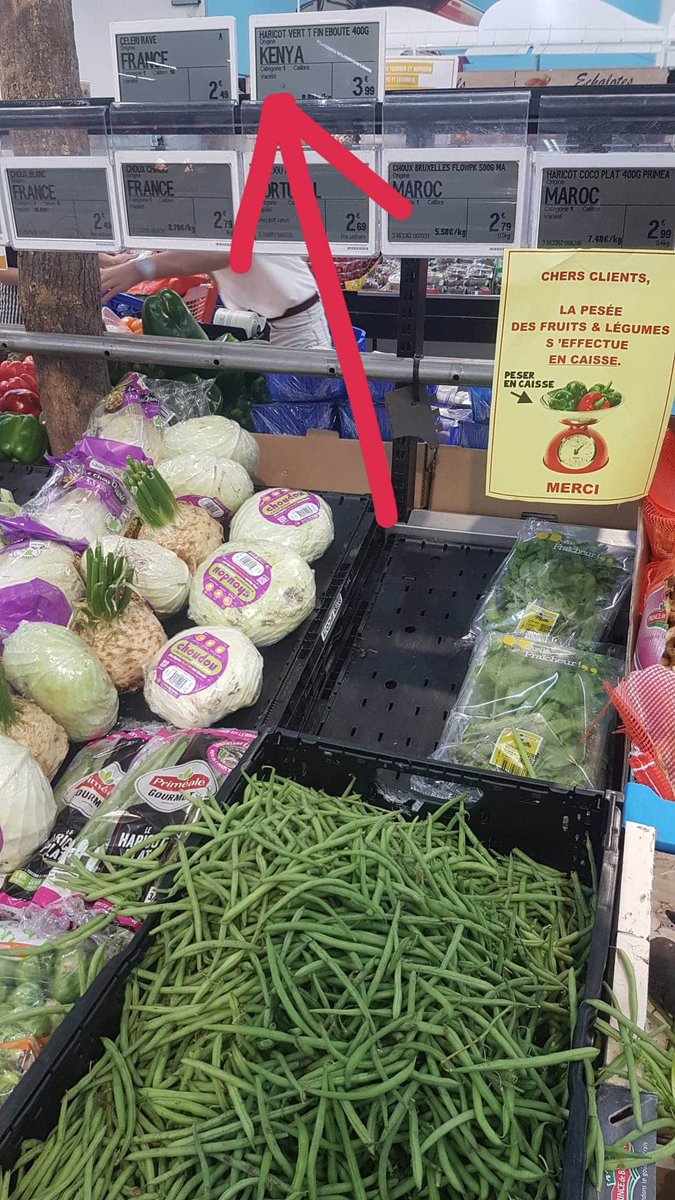 max_zanetell's tweet photo. Quel dommage que @Leclerc Biscarrosse (40) ne profite pas des haricots verts landais récoltés en ce moment quand on sait que le département est le 3ème producteur français ! #originefrance  @FruitsLegumesFR @LegumesdeFrance https://t.co/Qph2y253ej