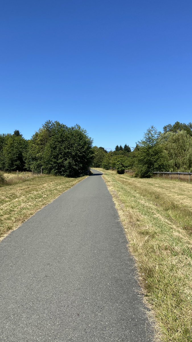 CanadaGoose911's tweet photo. Into the great wide open #summertimerules https://t.co/Hrz9Xrvzhm