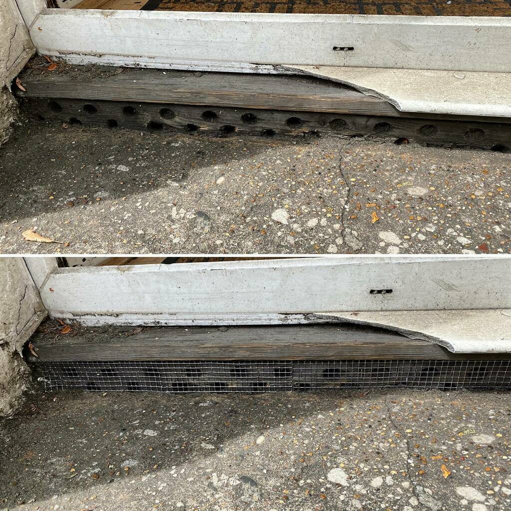 PestFreeMike's tweet photo. Proofing to external part of the building helps keep rodent pests away! 🐀🐀🐀 #pestcontrol #pestcontrolservice #pestprofessionals #pestproofing #proofing #mice #rats #rodents #PestFreeMike https://t.co/UEfxw9O4AJ https://t.co/RFwYxm3NlS