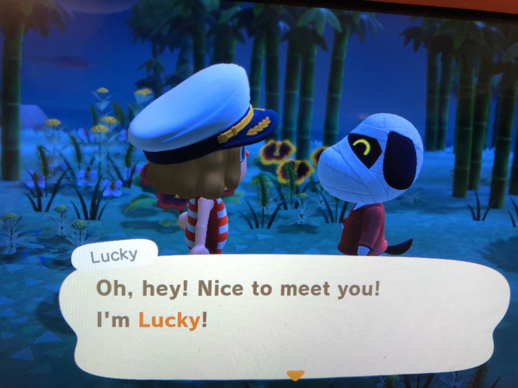 lucyheartbrea's tweet photo. I’ve found lucky!! If i took him anyone is willing to trade him with NMT and Bells? If yes please hurry or im gonna leave him sadly ☹️💔 #acnhvillagertrading #acnh     #AnimalCrossingNewHorizions #acnhtrades @CrossingTrade @NooksAdoption https://t.co/JkZr5NLcPI