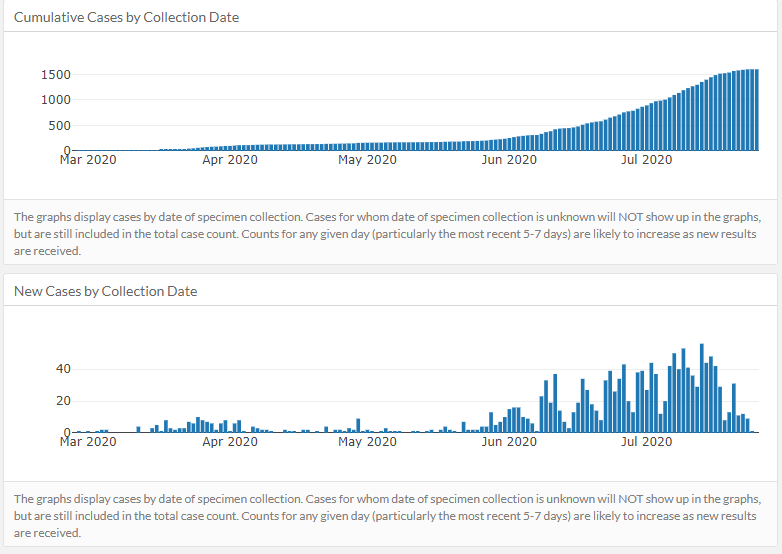 The top chart makes it look like the total number of cases has finally leveled off. Barely 20 new cases in the last 5 days, which is great news.The bottom chart clearly shows the number of new cases is starting to decline dramaticallyExcept, that's not what's happening/2