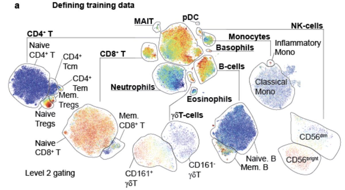 BrodinPetter's tweet photo. The end of manual gating - Single-cell classification using learned phenotypes. New tool from Yang Chen in our team: https://t.co/ajlqaIKCVV code here: https://t.co/45zZnZlKS6 https://t.co/JlmTGn4CSN