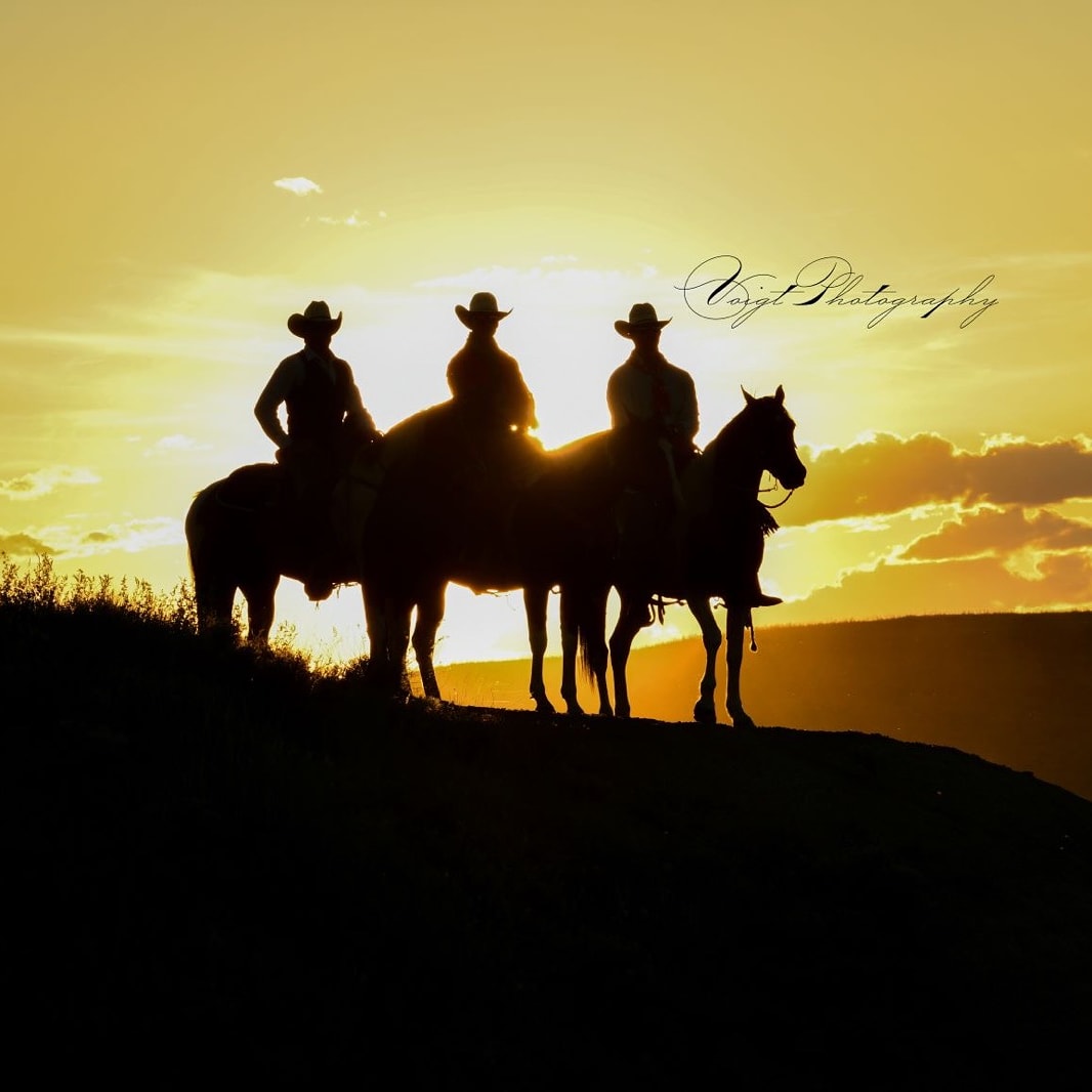 breaking_eight's tweet photo. Today we honor our fellow cowboy brothers, as it's ๐ก๐ฎ๐๐ถ๐ผ๐ป๐ฎ๐น ๐๐ฎ๐ ๐ผ๐ณ ๐๐ต๐ฒ ๐๐ผ๐๐ฏ๐ผ๐. ๐ค
Celebrate with us and take a listen to ๐ ๐ฝ๐๐๐ฃ ๐ ๐พ๐ค๐ฌ๐๐ค๐ฎ at https://t.co/uSQlcgDQ7H.
๐ธ: Mary Voigt Photography
#BreakingEight #NationalDayOfTheCowboy https://t.co/Av88Rs1bFX