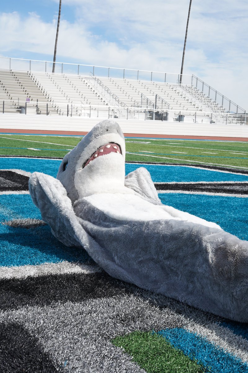 SharksYrbk's tweet photo. Poor Sharkie! So lonely out there maintaining social distance from all his fans... https://t.co/4HoQPrpEIu