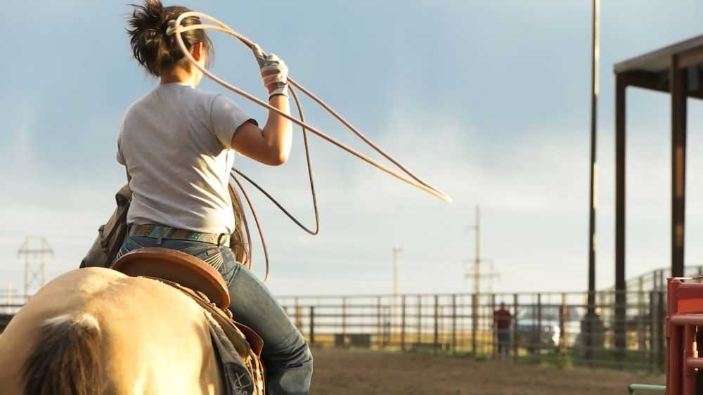 CheyenneWY's tweet photo. Today is National day of the Cowboy, but we know that Cowgirls are tougher and that Cowboys can't do it without them. https://t.co/j68zxQU043
