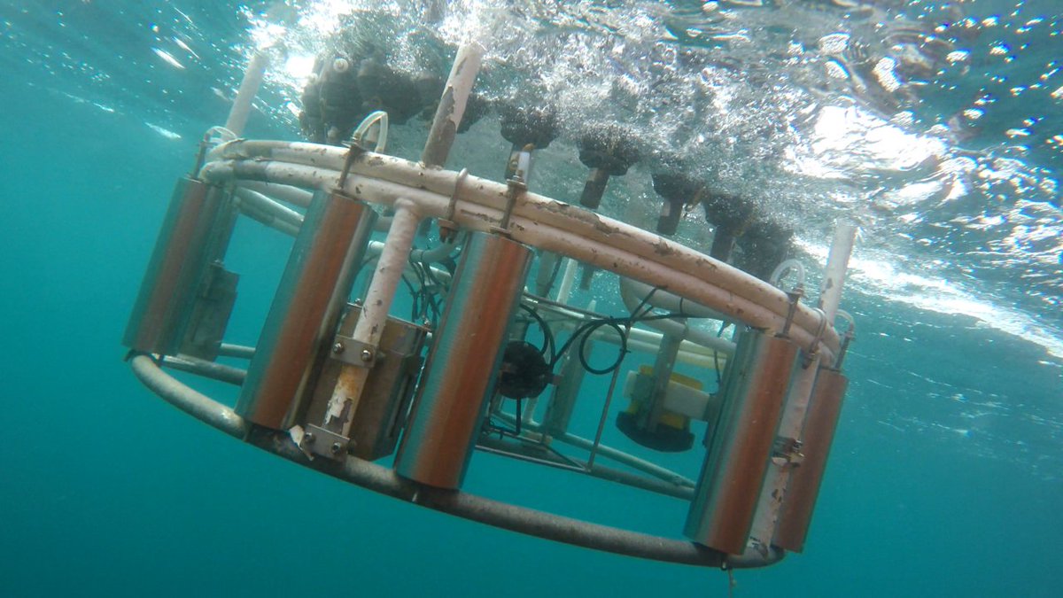 Meteor_M164's tweet photo. One last bath in the ocean on the last CTD station of this cruise before the water sampler and the measuring devices are cleaned and stowed in the container.

📷️ D. Kieke

#RVMeteor #M164 #atsea #oceanresearch #researchcruise #oceanography https://t.co/KZYjlE7nTp