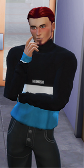 Sims4Mods2 tweet picture