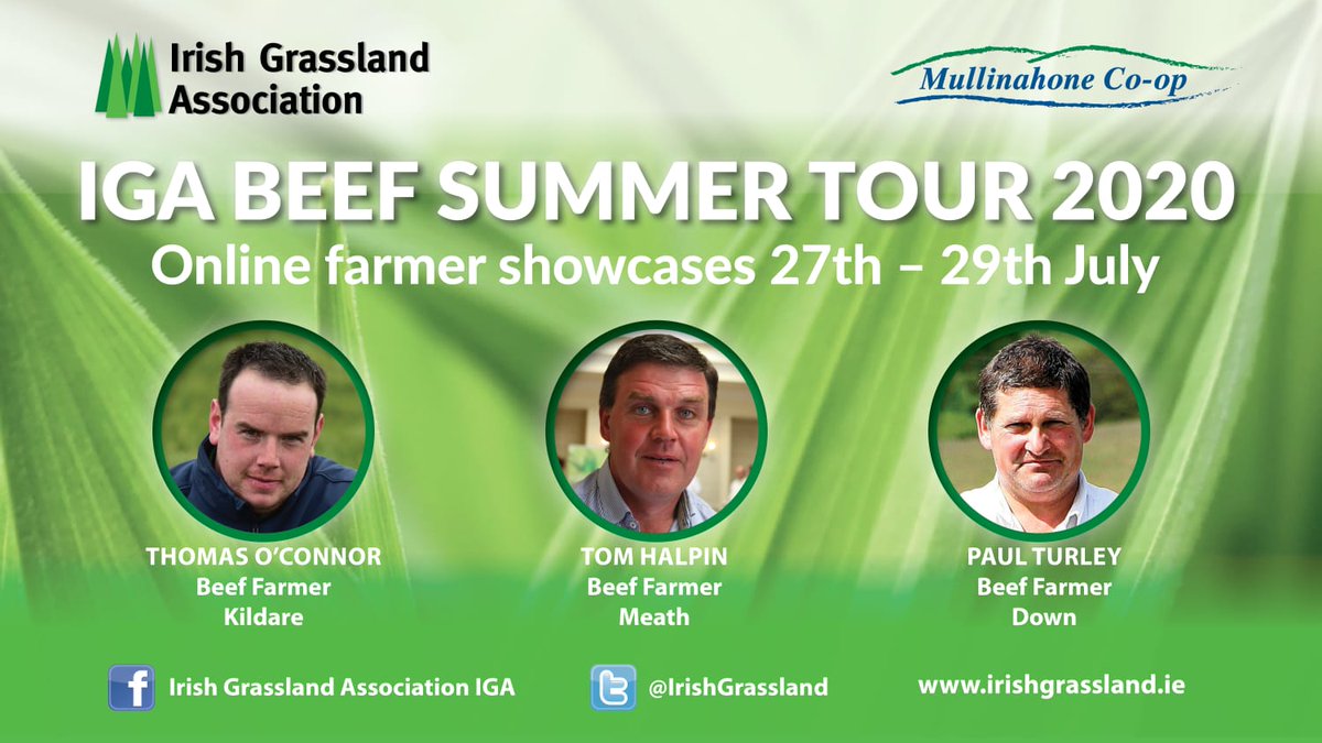 Irish Grassland Association CLG (IGA) tweet media