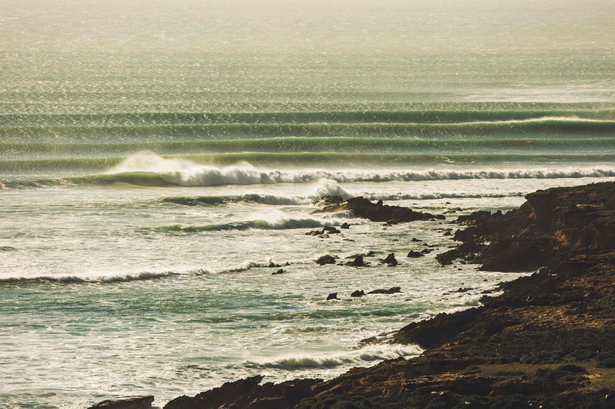 The Surfer's Journal tweet media