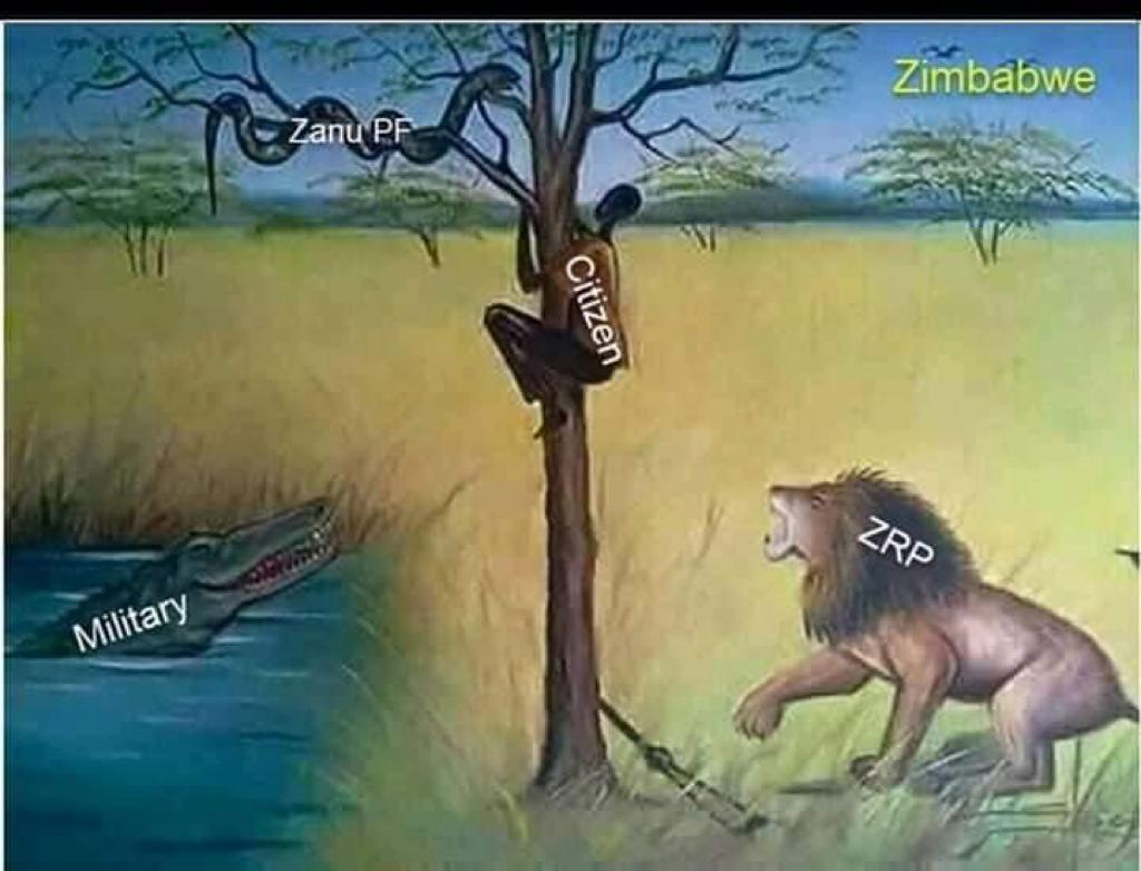 shamps10's tweet photo. @acielumumba ✓Just imagine Father Zimbabwe,J. Tongongara, Hebert Chitepo &amp;Masotsha Ndlovu, Beatrice Mthethwa with this mentality and attitude-they will be no Zimbabwe.
✓*Hey-Attitude is everything*

#40YearsOfOneDirection
#FreeHopewell
#July31
#WearAMaskStaySafe https://t.co/8YjCZlg5IV