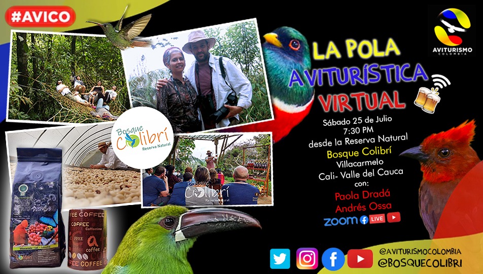 La Pola Avituristica - Bosque Colibrí youtu.be/8lAaqfI7Jdg
