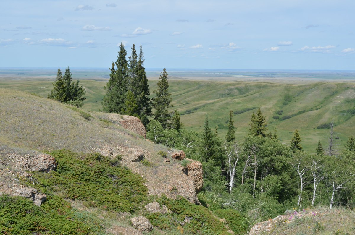 Thank you to Matthew Spencer <a href="/CTKFirstNation/">Carry the Kettle</a> from Carry the Kettle Nakoda Nation.  We made plans to meet in Cypress but Covid kept us apart. Glad we could virtually share and that we could lean about Nakoda history, visit the land claim, and site of the Cypress Hills Massacre.
