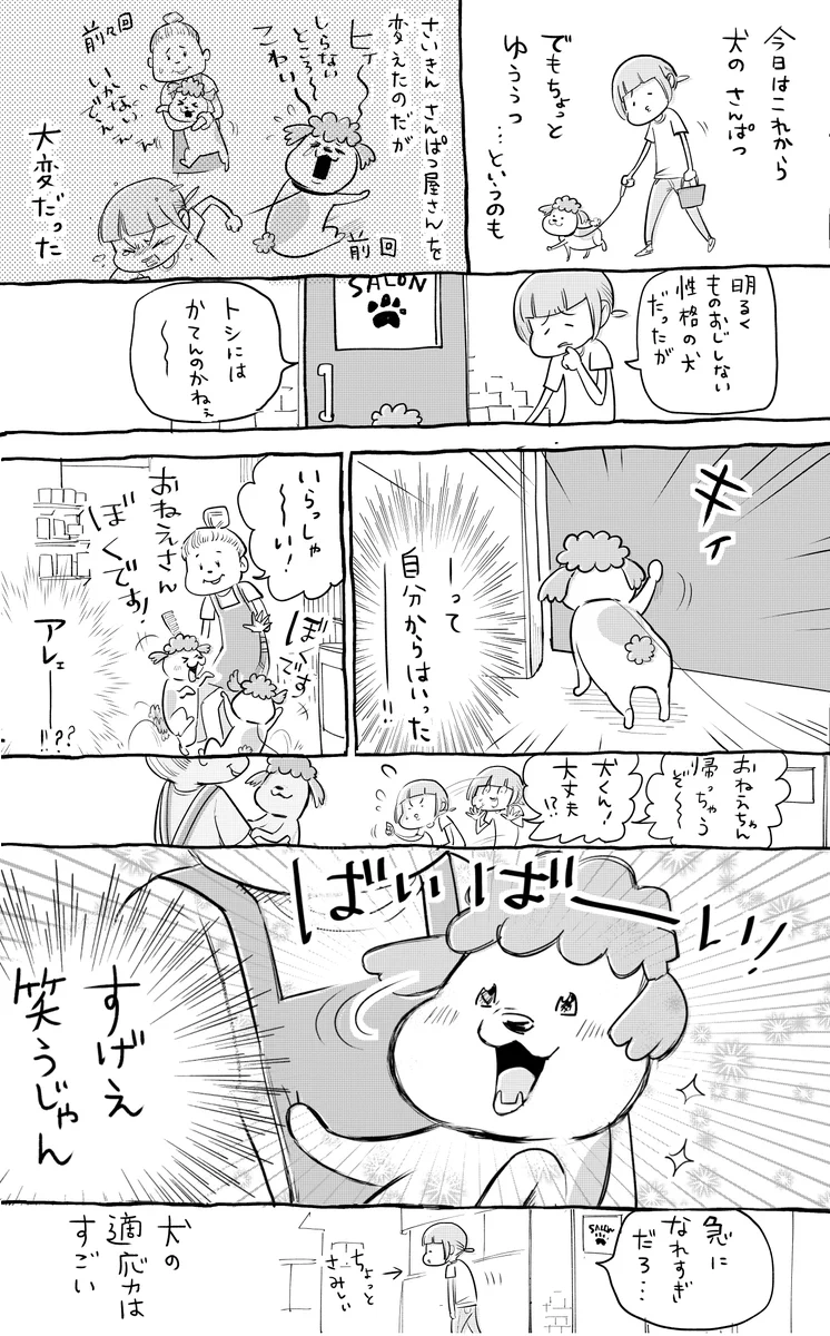 警戒心があったりなかったり？犬と猫の警戒心の違いwww