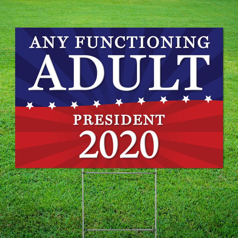 timothy_frisch's tweet image. A lot of political optimism out there this year 😂
#Election2020