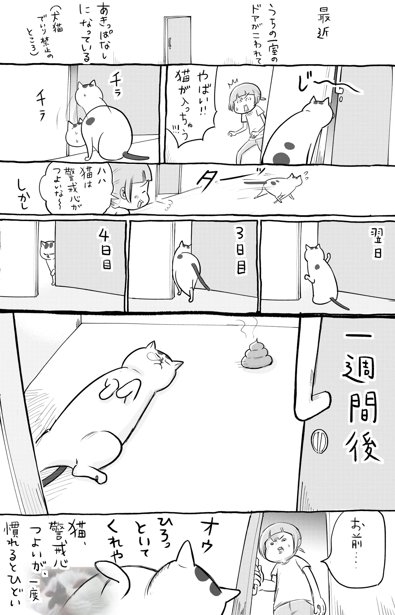 警戒心があったりなかったり？犬と猫の警戒心の違いwww