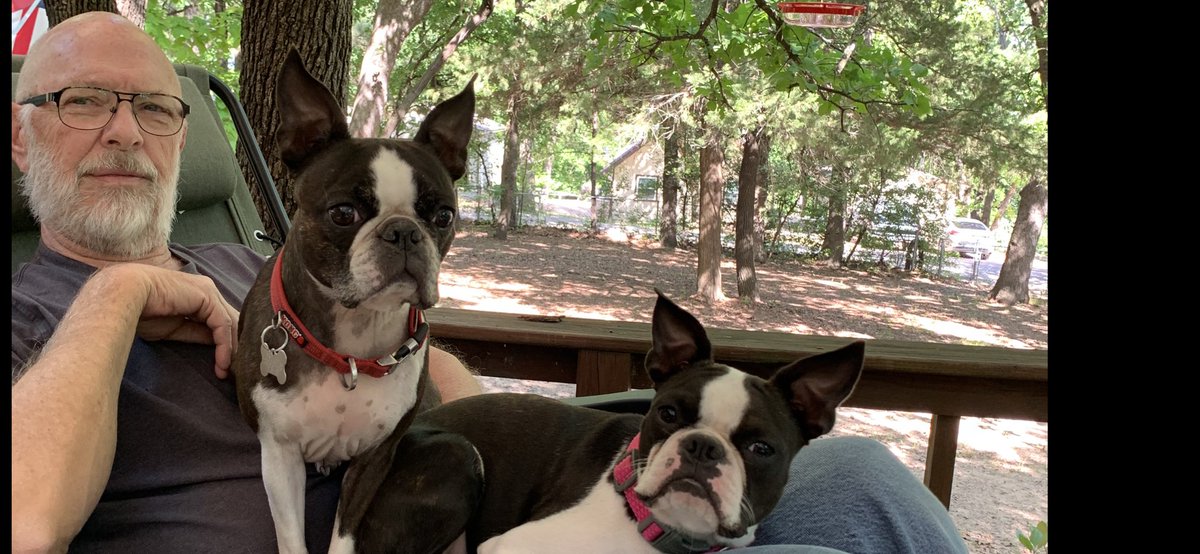 lynndiwagon's tweet photo. Panda and Bella at the lake house. https://t.co/UPGuGoJROj