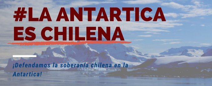 NoticieroAnimal tweet picture