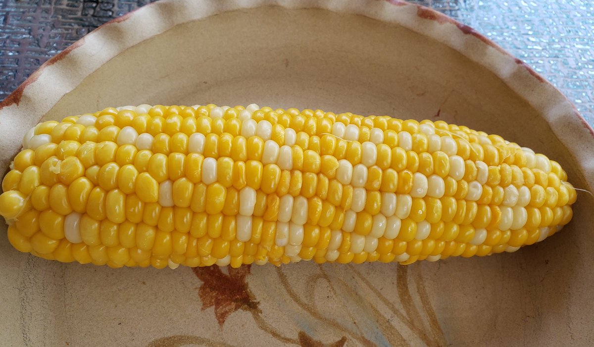 Tea_RedRose's tweet photo. Verdict on the first local corn of the season...AMAZING! So sweet and not woody. Looks like a great crop. #SupportLocalFamers https://t.co/PbZwBx7GPS