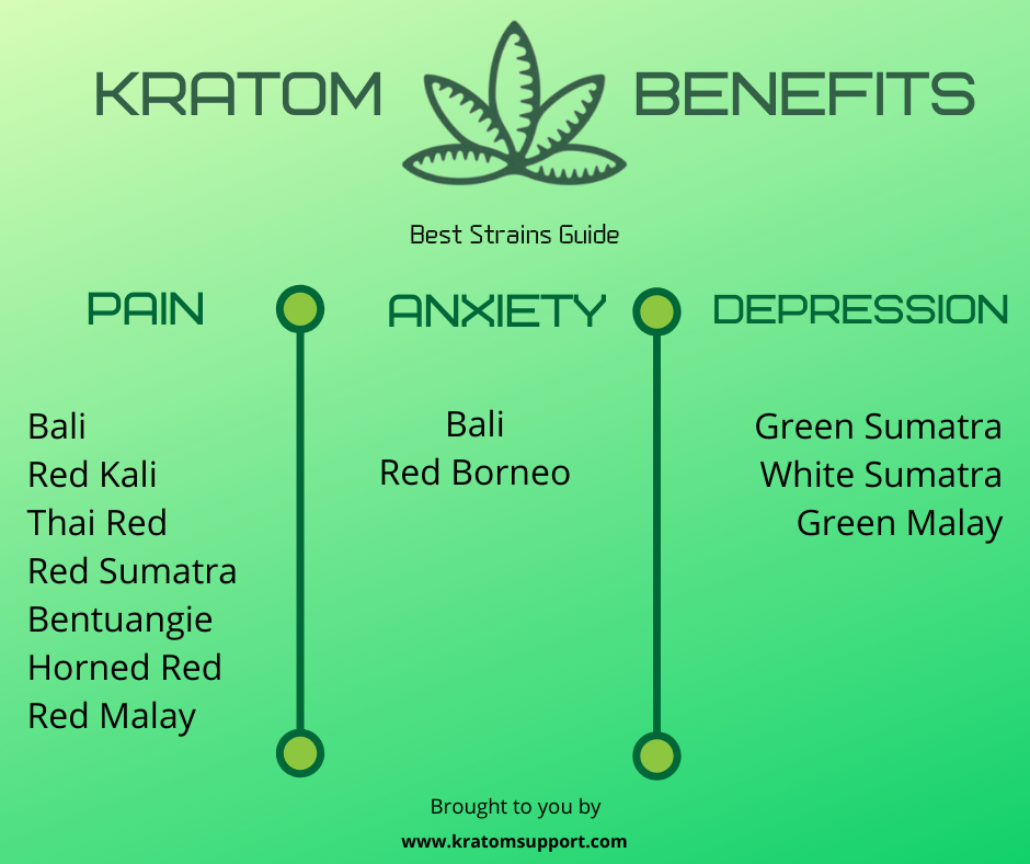 SupportKratom's tweet photo. Kratom Strains and what they help with:

Which strains do you use?
Which have helped you?

Let us know below!

Visit https://t.co/ITGwHFEw9D for everything about Kratom!

#kratom #kratomsupport #supportkratom #kratomvendor #buykratom https://t.co/RrwRX5iSdS