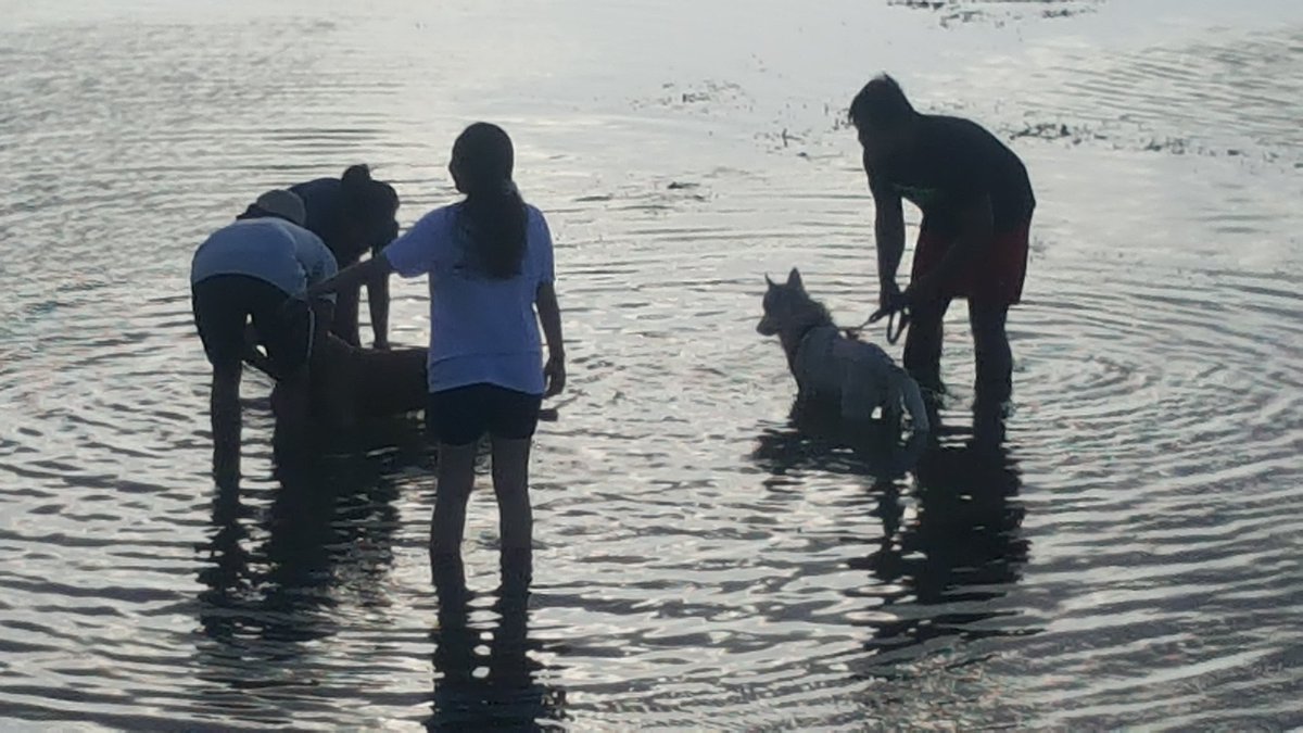 WhyGe's tweet photo. Mertasari Beach, Sanur this morning @SanurFestival @DenpasarKota https://t.co/wq1nE8Vq1q