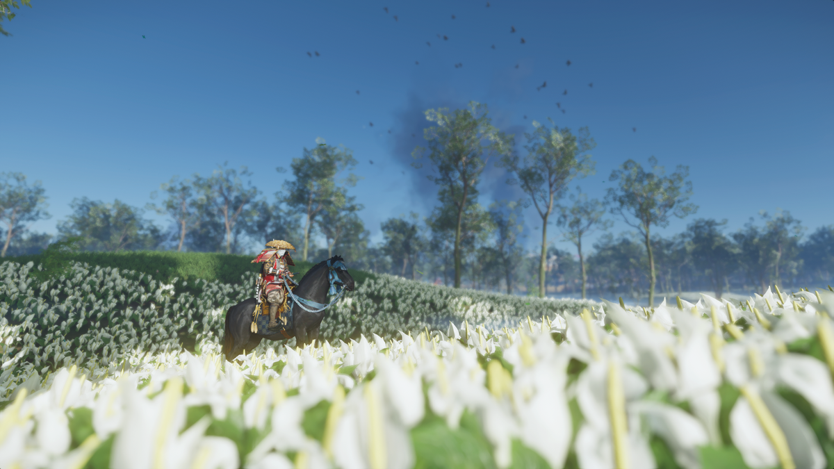 bdanfoo's tweet image. 