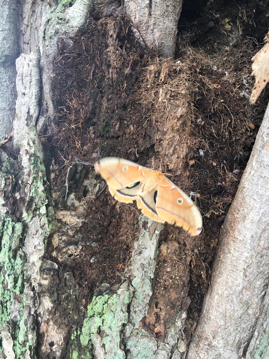 Terry Wilson tweet media