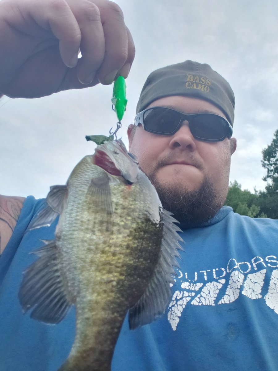mschwarm75's tweet photo. Got a few tonight with the kids. My daughter caught it all by herself. @MarTeaseLures grasshopper strikes again https://t.co/przcKPfp7E