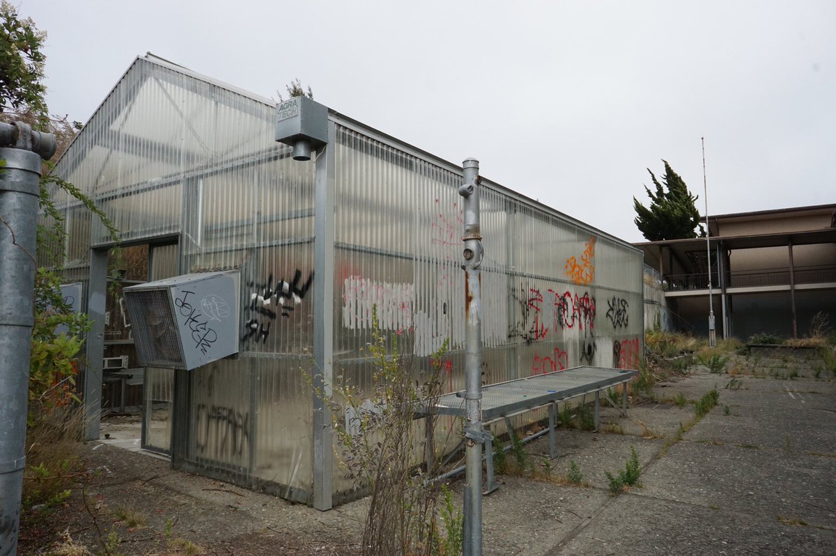 selunaphoto's tweet photo. Adams Middle School

#livephotography #naturephotography #photography #photo #seluna #perez #selunaphotography #selunaphoto #sonya6000 #adams #middle #school #richmond #california https://t.co/WwJenkj4EI