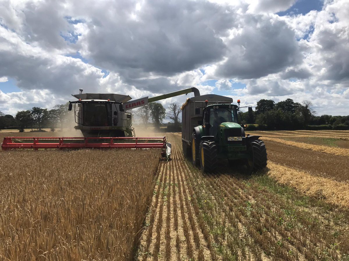 NolanFarming's tweet photo. Some harvest action during the week! 
Winter Barley meeting its end via the combine knife.. 
Hopefully the new Minister Of Agriculture Dara Calleary will understand how important the Tillage sector is to Irish agriculture 
#harvest2020
@strategicpower_ @PaulBMcGill @darscleary https://t.co/0CCktyFkhK