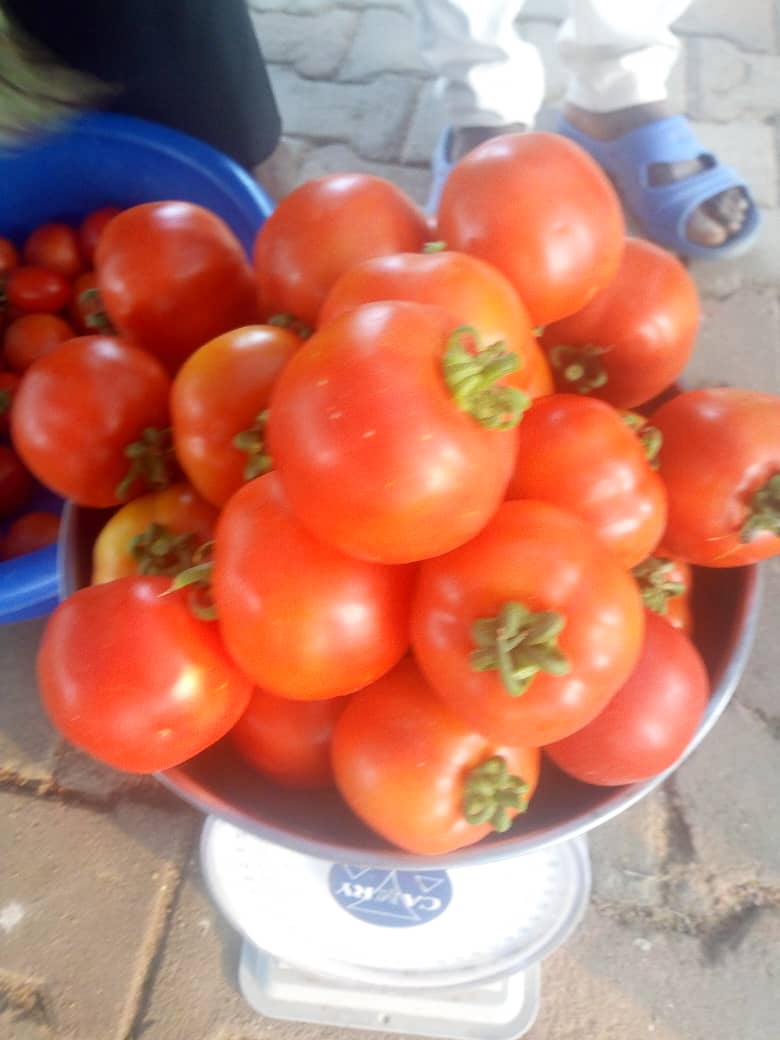 NsabimanaClest4's tweet photo. #Burundi Avec une telle détermination de la population burundaise dans la production agricole
certes que le pays de lait et du miel
sera d 'ici peu le grenier de la sous région
nouvelle image du Burundi de Ntare
#GenNeva commandant du développement durable https://t.co/yfWiRwyrCi