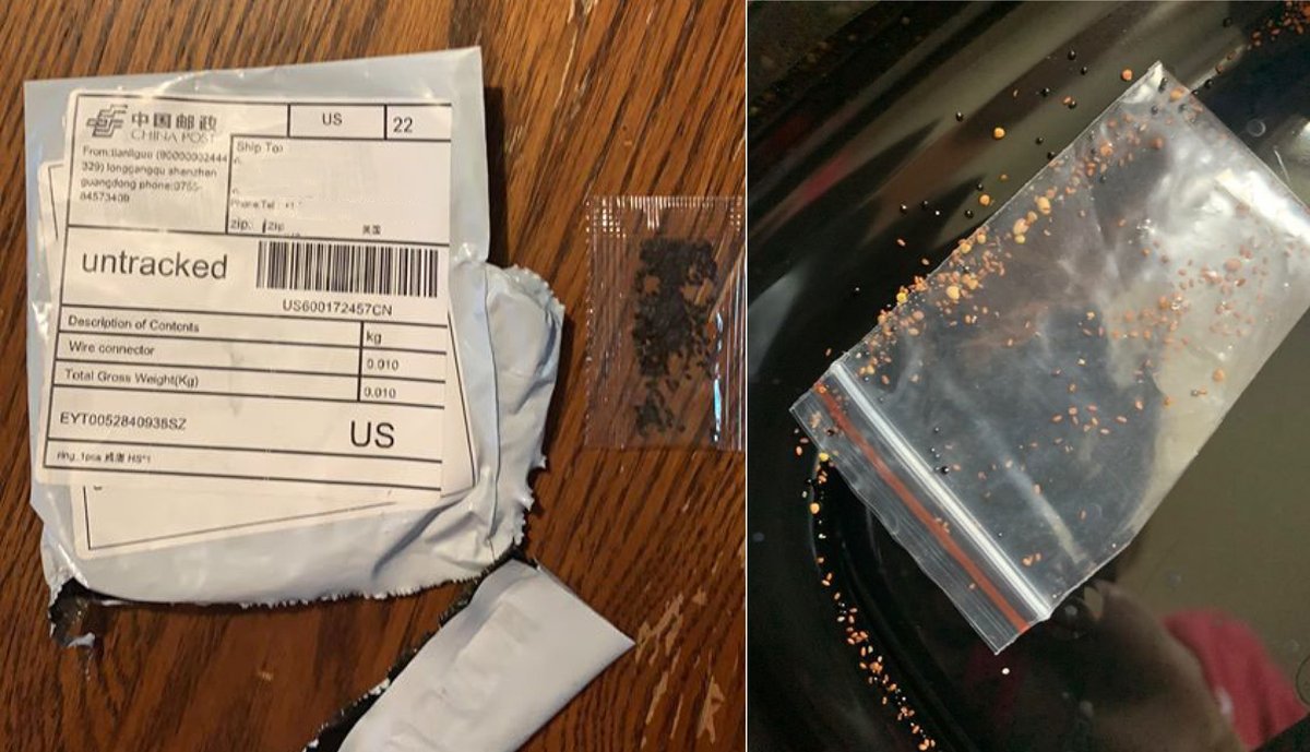 KansasDeptofAg's tweet photo. KDA has been notified that Kansas residents have received unsolicited packages containing unknown types of seeds. If you receive a package of this type, please DO NOT plant these seeds. Read the full news release here: https://t.co/fw6XCcbRxZ https://t.co/OrzcIcRI70