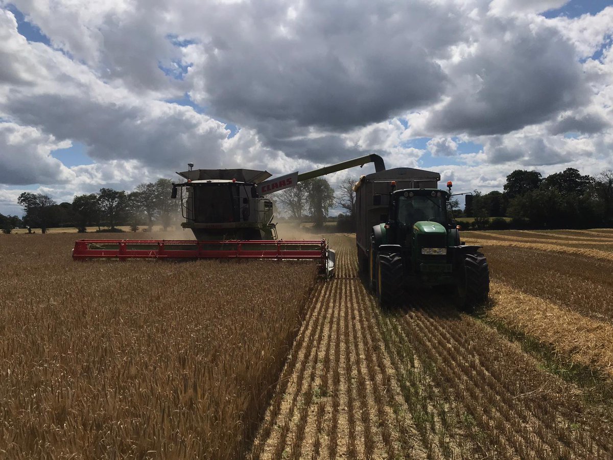 NolanFarming's tweet photo. Some harvest action during the week! 
Winter Barley meeting its end via the combine knife.. 
Hopefully the new Minister Of Agriculture Dara Calleary will understand how important the Tillage sector is to Irish agriculture 
#harvest2020
@strategicpower_ @PaulBMcGill @darscleary https://t.co/0CCktyFkhK